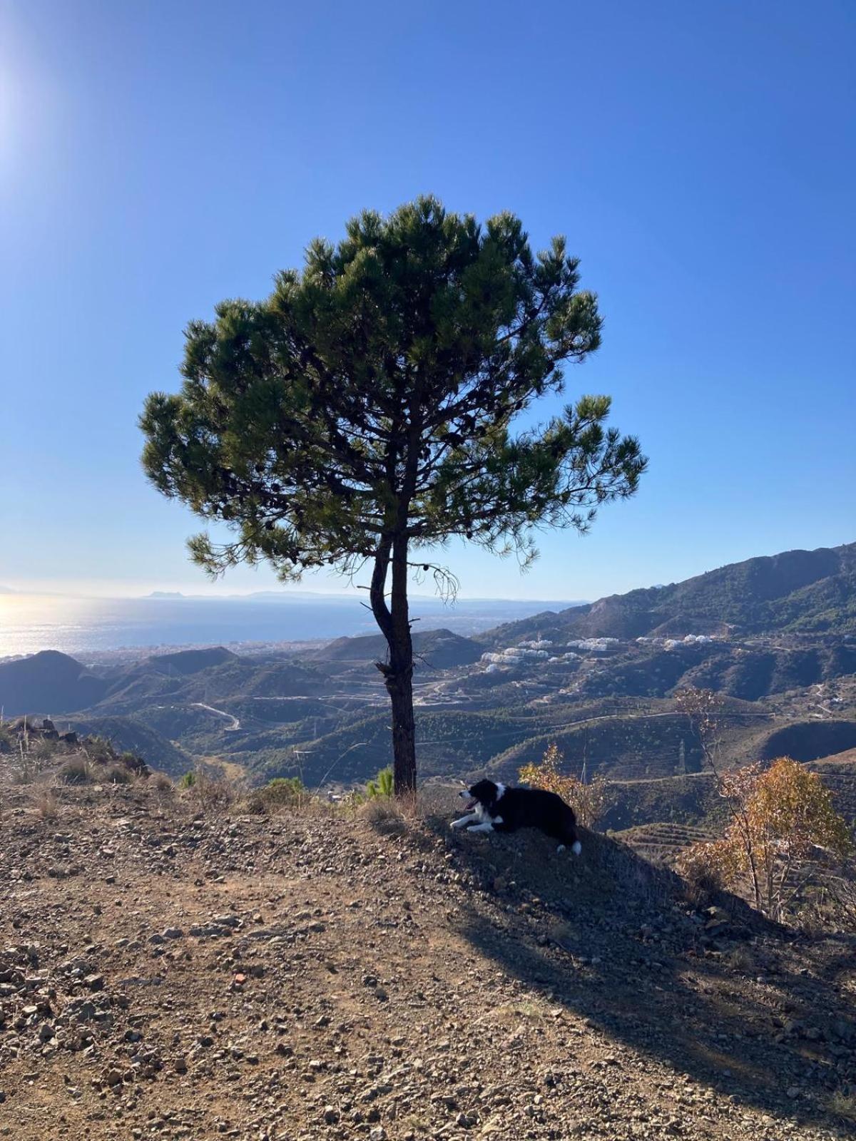 Appartamento El Nido By Bh Marbella Esterno foto